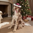 thumbnail image 3 of Vibrant Life Holiday Pet Santa Cowboy Hat for Dogs, Pink, Medium/Large, 3 of 8