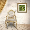 thumbnail image 3 of Tenoever, William 26x26 Gold Ornate Wood Framed with Double Matting Museum Art Print Titled - CheckeredWhiteButterfly, 3 of 4