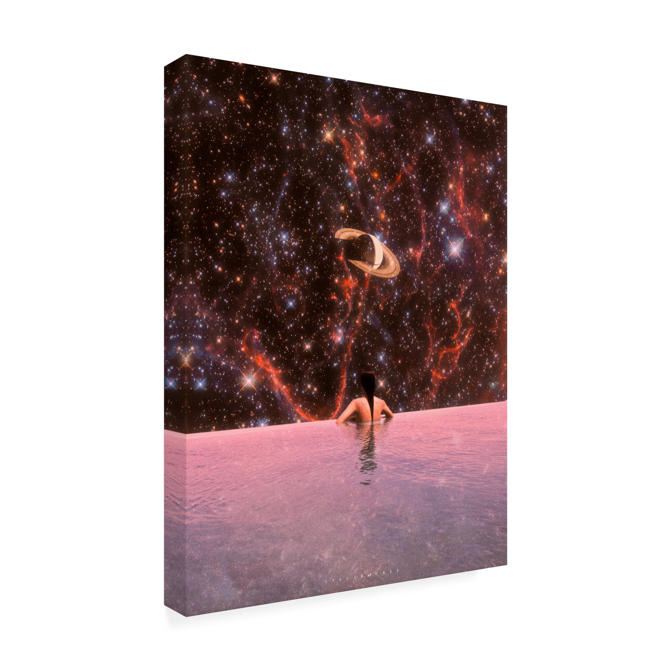 Trademark Fine Art spacerocket art  578 Canvas Wall Art