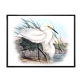thumbnail image 1 of Designart Vie d'oiseau vintage I ART MURAL À CADRE FLOTTÉ, 1 of 4