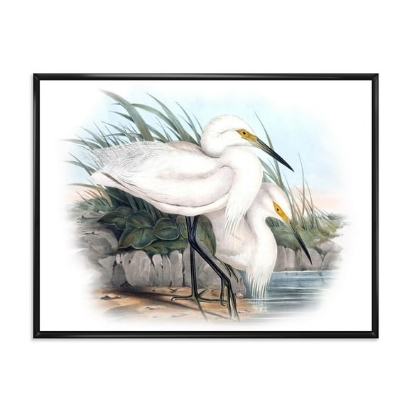 Designart Vintage Bird Life I FLOAT FRAME WALL ART