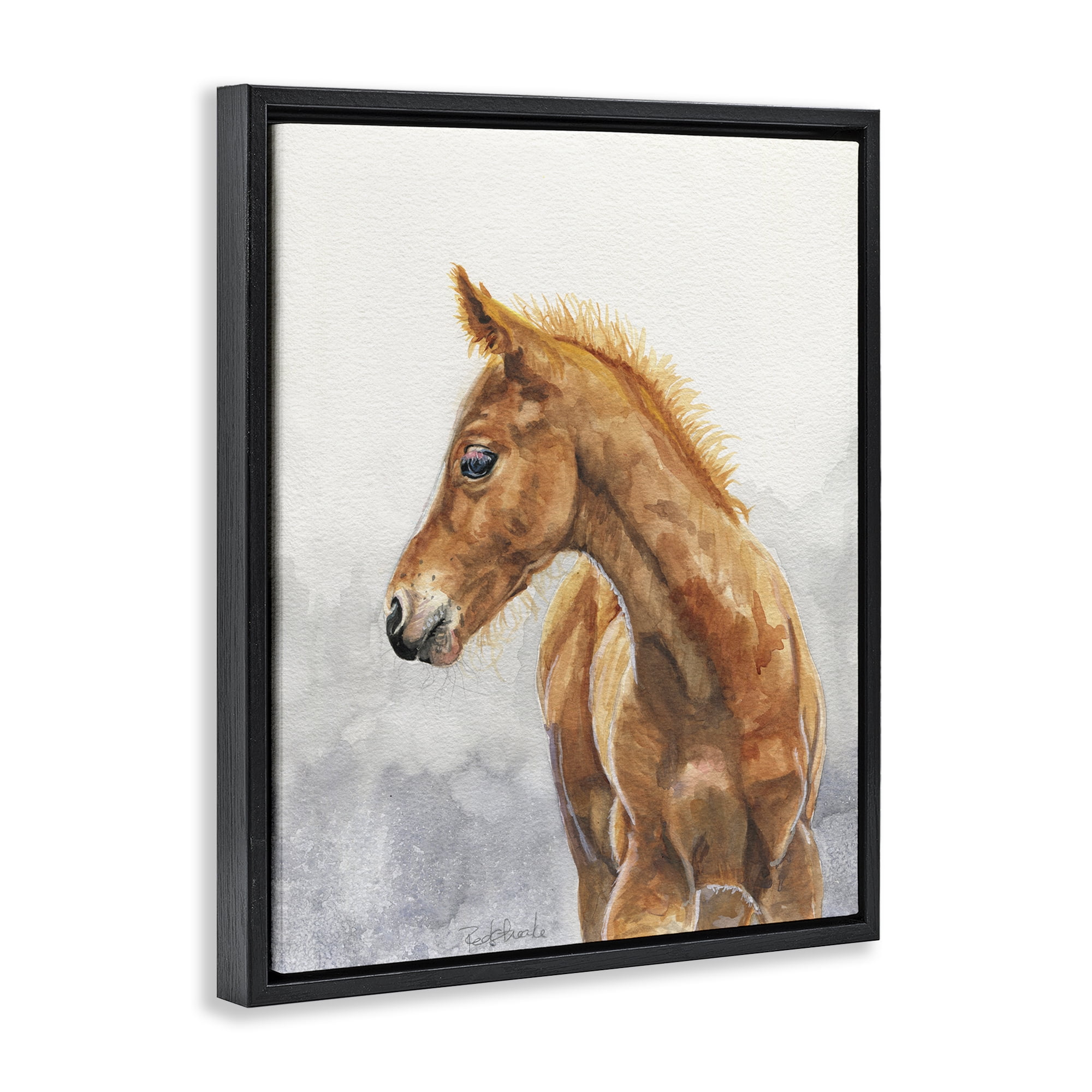 Stupell Industries Watercolor Brown Foal Animals Painting Black Floater Framed Canvas Art Print Wall Art, 25 x 31