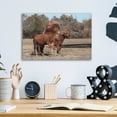 thumbnail image 3 of Epic Art 'Assateague Horses I' by Lori Deiter, Acrylic Glass Wall Art, 16"x12", 3 of 3