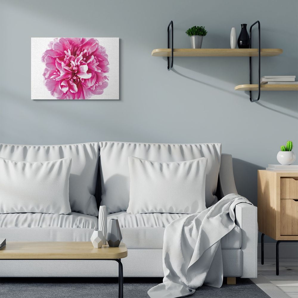 Stupell Industries Pink Pop Flower Petals Pink Curves Photograph Canvas Wall Art Design by Elise Catterall, 24" x 30"