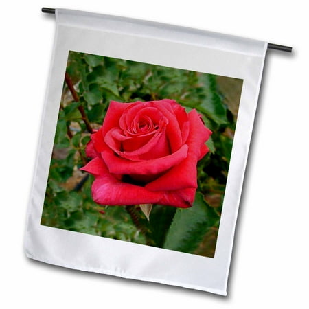3dRose, Red HT Rose, 12 x 18 inch Garden Flag