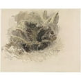 thumbnail image 2 of Jan van Essen 18x15 Black Ornate Wood Framed Double Matted Museum Art Print Titled - Koningsvaren in a Garden in Scherpenzeel (1918), 2 of 5