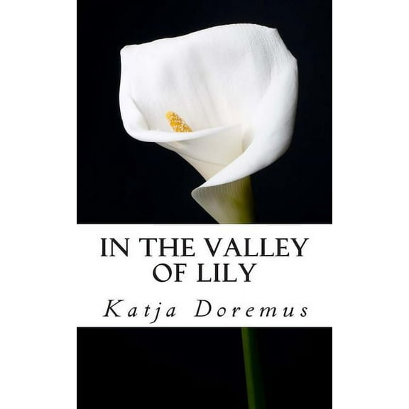 In the Valley of Lily(Paperback)
