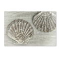 thumbnail image 2 of Trademark Fine Art 'Two King Scallop Shells' Canvas Art by Cora Niele, 2 of 4