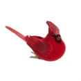 Kurt Adler Red Flocked Cardinal Clipon Ornaments, Set of 2 Assorted