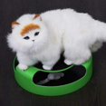 thumbnail image 5 of Jouet Interactif Attrape-Souris en Peluche, 5 of 5