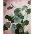 thumbnail image 3 of Grainne, Lupen 15x18 Black Modern Framed Museum Art Print Titled - Sage Eucalyptus No. 1, 3 of 5