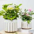 thumbnail image 5 of Better Homes & Gardens 8" x 8" x 8" Round White and Brown Ceramic Plant Planter, 5 of 8