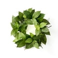 thumbnail image 2 of Sullivans Artificial Salal Leaf Wreath 24"W Green, 2 of 3