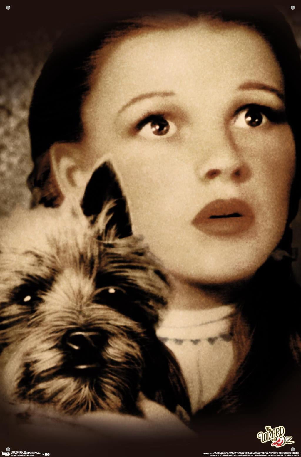 The Wizard Of Oz - Duo Wall Poster with Push Pins, 22.375" x 34"