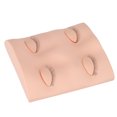 thumbnail image 4 of Modèle de Tête de Formation de Maquillage, Détachable Petit 3D Simulé Faux Cils Extension Pratique Mannequin Tête PVC Silicone Souple Réutilisable pour Affichage Rose, Couleur de Peau, Couleur de Café, 4 of 8