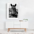 thumbnail image 2 of New Friend - Springville California Photography Horse Black and White Animal Farm Portrait Rustic Rural White Framed Wall Art Print 5 x 7 inches, 2 of 3