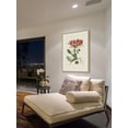 thumbnail image 5 of "Antique Floral III" Framed Painting Print, 5 of 6