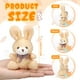 thumbnail image 2 of Conejito de peluche Sotiff de 12 cm con llavero, 24 unidades, 2 of 6