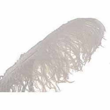 Ostrich Plumes Adult Halloween Accessory - Walmart.com