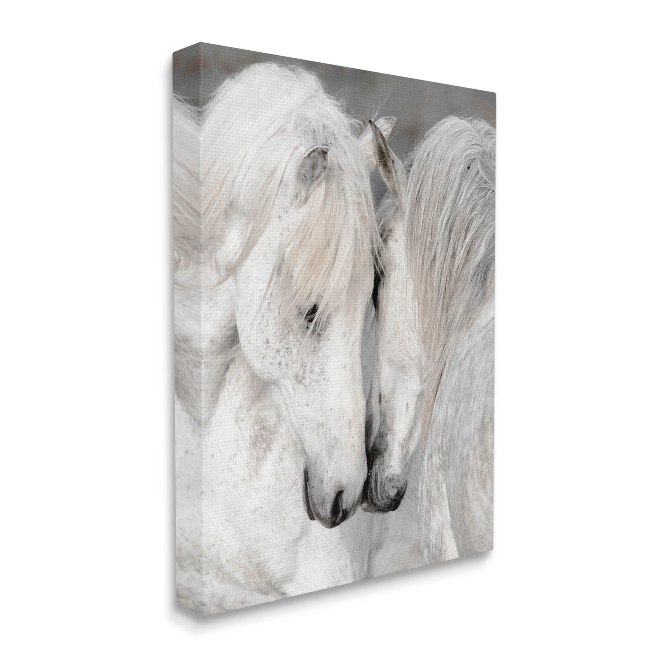 Hugging Horse Duo Wildlife Animals & Insects Photograph Gallery Wrapped Canvas Print Wall Art
