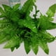 thumbnail image 3 of 4 racimos de helechos artificiales de Boston oso de fresa plantas verdes 35,5 cm, 3 of 3