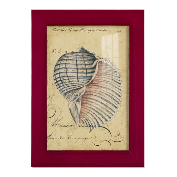 Seashell Ephemera V - Framed Print w/glass - Cherry Red
