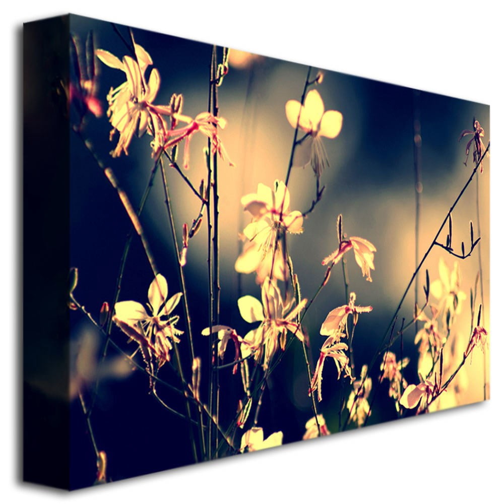 Trademark Fine Art Young 'Sunshine in my Garden' Canvas Art by Beata Czyzowska