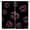 Black-pink, variant on Luxury Lips Print Leopard Curtains,Black Gold Pattern Playful Seductive Lips Design Blackout Window Drapes for Women Girls Bedrooms Living Room Kitchen Cafe 84" W X 84" L