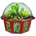 thumbnail image 1 of DuneCraft Dome Terrariums - Carnivorous Plants, 1 of 1