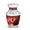 Hornbill-2, variant on SABURIAL Hornbill Urn - Funeral Cremation Urn For Male Ashes - Decorative Handcrafted Funeral Urns For Human Ash - Lovely Small Urns For Ashes - 3 Inch - Pack Of 1