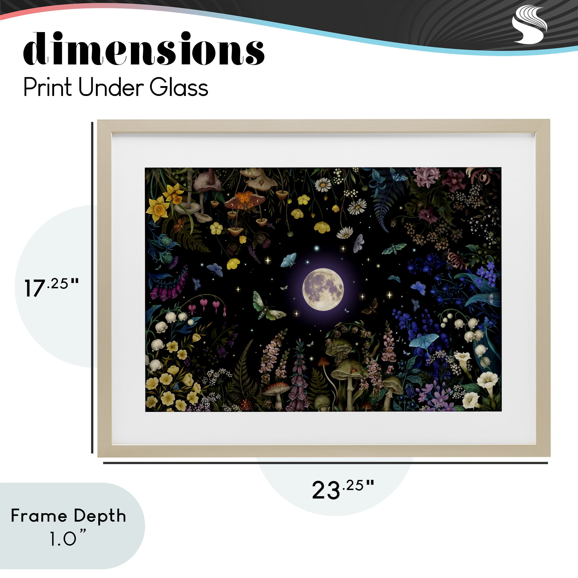 Stupell Industries Night Garden with Moth Birch Framed Print Under Glass, design by Episodic Drawings