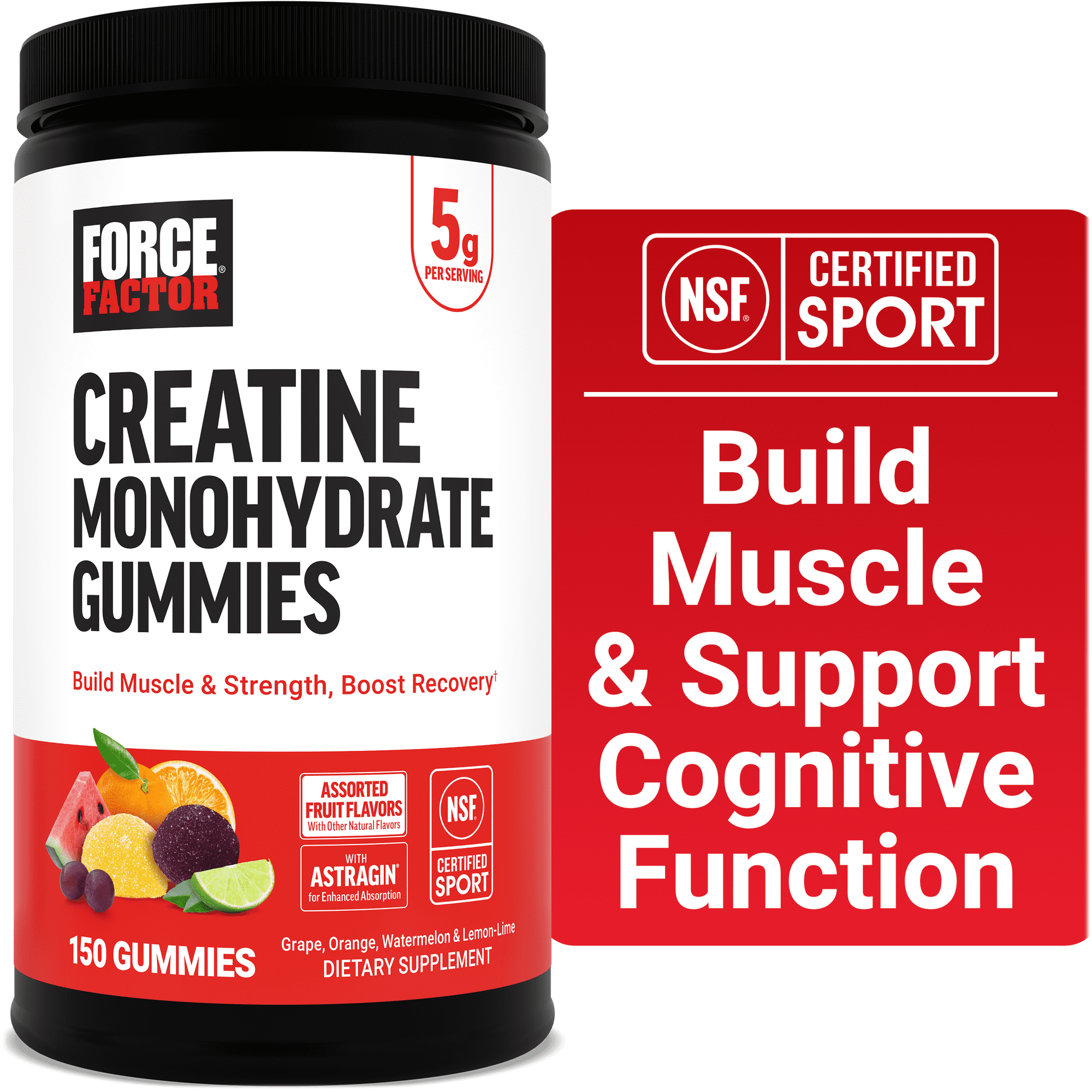 Force Factor Creatine Monohydrate Gummies, NSF Certified, 5g Dose for Men & Women to Support Muscle, Strength, Recovery, Cognitive Health & Memory, Assorted Fruit Flavors, 150 Gummies