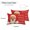 Red, variant on Funny Santa Claus Outdoor Pillow Covers 18x18 Inch Throw Pillow Covers Set of 2 Waterproof Decorative Pillow Cases Red Christmas Winter Retro Cushion Covers for Patio Furniture Garden Couch Sofa