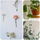 thumbnail image 5 of 400 Piezas Clips de Fijación de Pared para Plantas Trepadoras Fijador de Plantas, Vides, Jardín, Hoja Verde, Clips de Pared para Plantas, Soporte de Vides para Decoración de Pared, 5 of 5