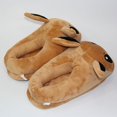 thumbnail image 3 of Zapatillas de felpa Eevee periféricas de animación de dibujos animados de invierno para el hogar, bolsos para hombre con suelo cálido, zapatos de algodón antideslizantes, 3 of 5