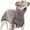 Grey, variant on WJY Cozy Greyhounds Winter Sweater Sweatshirt Warm Knit Stretch Turtleneck Cloth Coat for Dogs, Gray, Large, Small to Extra Large, 54.5 cm