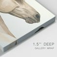 thumbnail image 3 of Golden Palomino I Premium Gallery Wrapped Canvas - Ready to Hang, 3 of 9