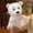 C, variant on Plush Animal Hand Puppets, Realistic Soft Stuffed Puppet Toy with Movable Mouth for Role Play, Storytelling and Teaching