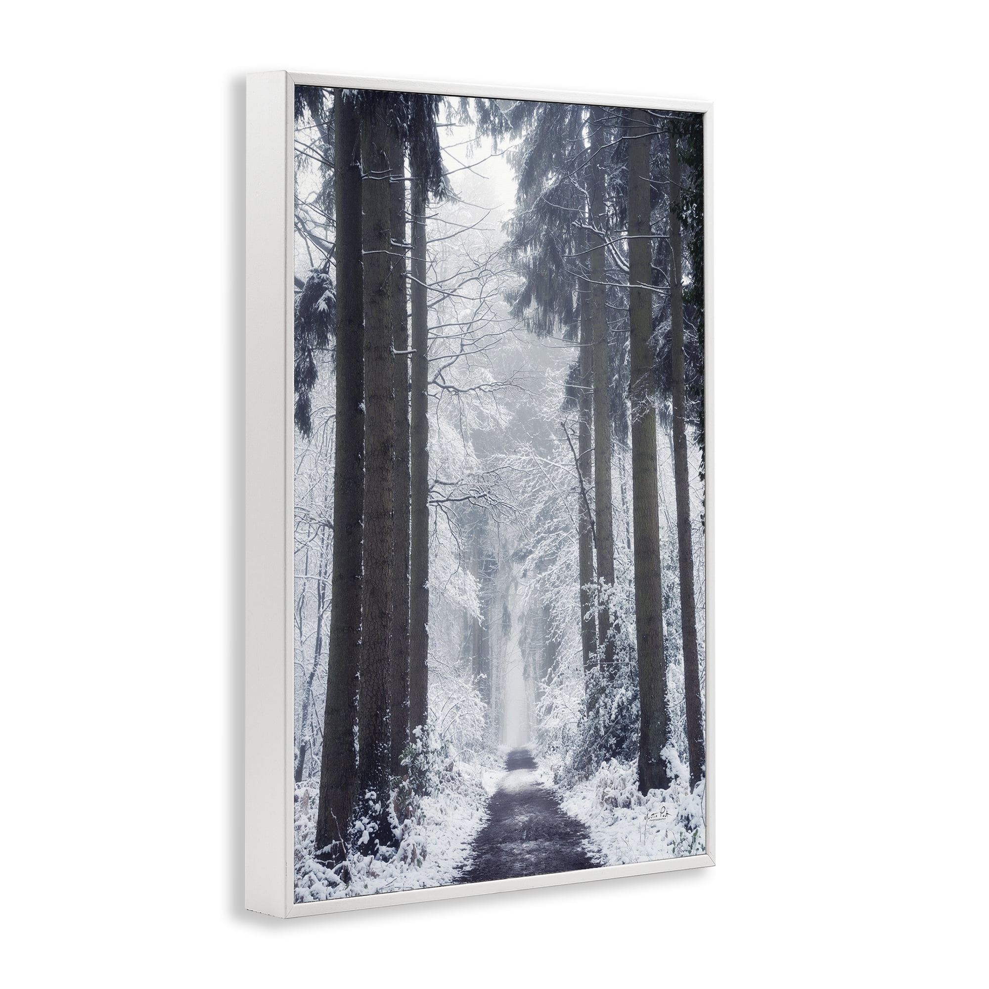 Stupell Industries Winter Fir Path Landscape Photography White Framed Art Print Wall Art, 12 x 18