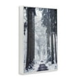 thumbnail image 4 of Stupell Industries Winter Fir Path Landscape Photography White Framed Art Print Wall Art, 12 x 18, 4 of 10
