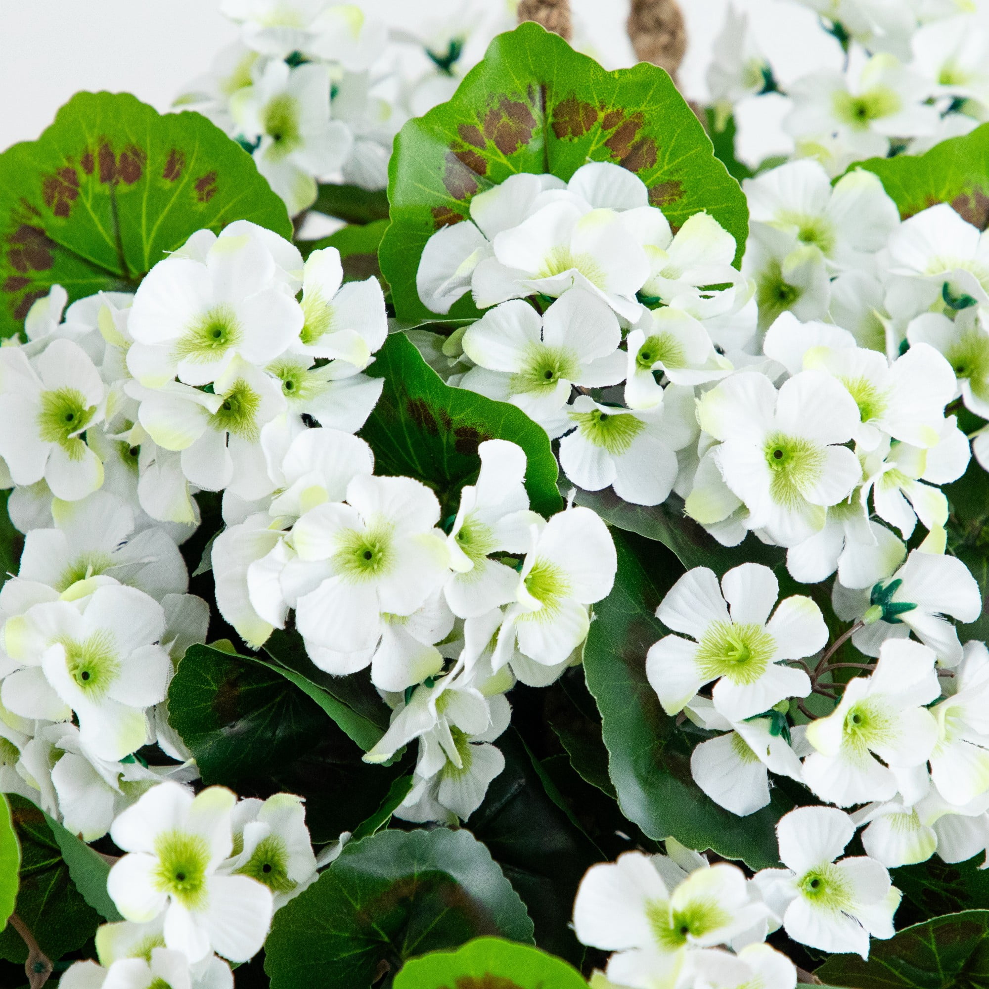 Nearly Natural UV Resistant Outdoor Artificial Geranium in Hanging Basket - 28" - White