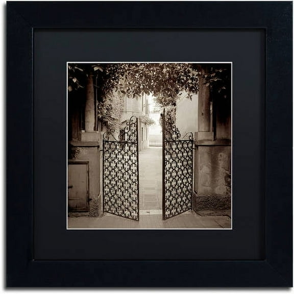 Trademark Fine Art "Venezia VII" Canvas Art by Alan Blaustein, Black Matte, Black Frame