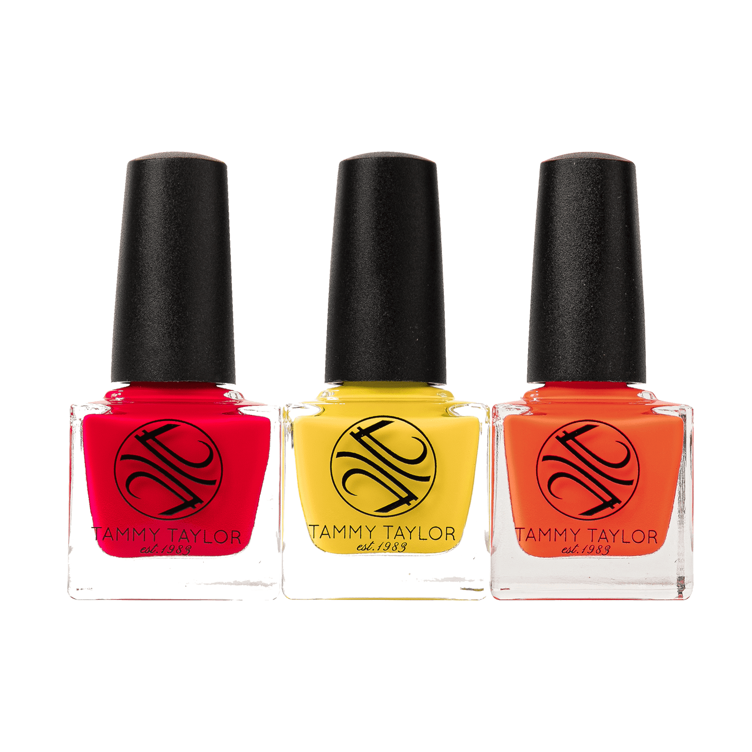Pop Art Entire Collection Bundle