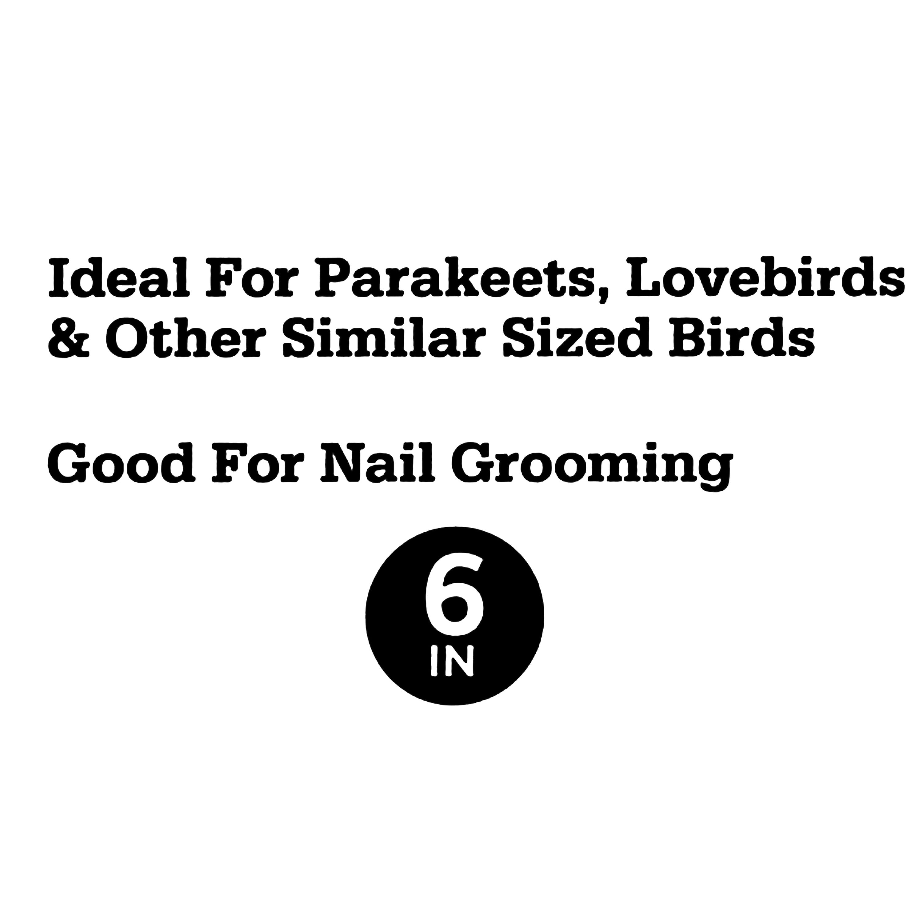 (4 pack) Vibrant Life Small Grooming Perch for Birds