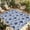 Blue, variant on Aqua Flower Outdoor Rug for Patio/Deck/Porch, Non-Slip Large Area Rug 6 x 9 Ft, Country Watercolor Floral Vintage Plant Indoor Outdoor Rugs Washable Area Rugs, Reversible Camping Rug Carpet Runner