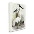 thumbnail image 3 of Stupell Industries Varied Crane Birds Gathered Riverbank Stream Botanicals Painting Gallery Wrapped Canvas Print Wall Art, Design by Piddix, 3 of 5