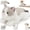 Ragdoll Cat-4 PCS White, variant on MaoGoLan 4pcs Axolotl Stuffed Animals Stuffed Axolotl Glow in the Dark with 3 Plush Axolotl