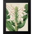 thumbnail image 2 of Vision Studio 15x18 Black Modern Framed Museum Art Print Titled - Orchid Blooms IV, 2 of 5