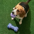 thumbnail image 4 of Oodles Durable Textured Rubber Ball and Bone Dog Toy Set, Purple, One Size, 4 of 9
