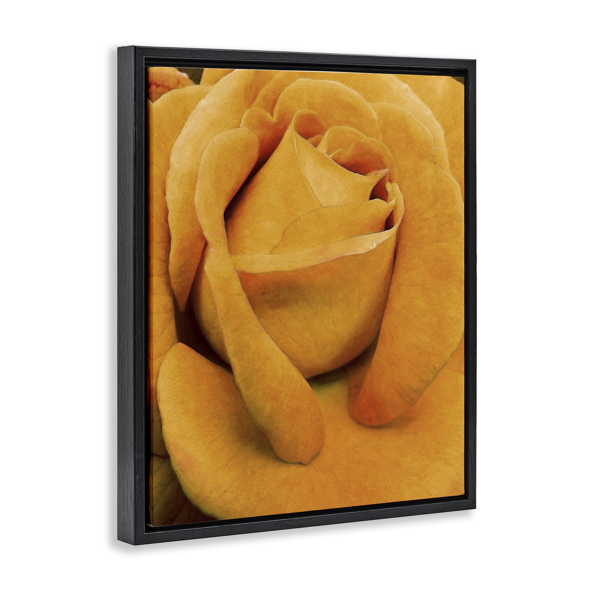 Stupell Industries Yellow Rose Close Up Botanical & Floral Painting Black Floater Framed Art Print Wall Art, 25 x 31